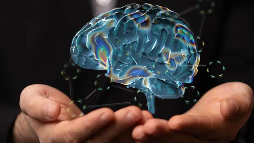 Científicos demuestran que el cerebro puede rejuvenecer