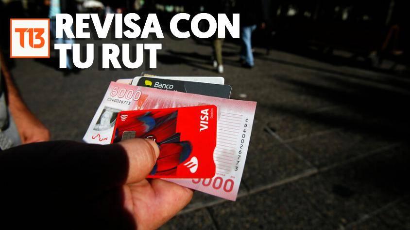 En simples pasos: Revisa con tu RUT si estás en el Registro de Deudores