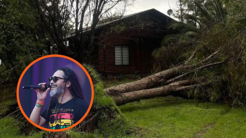 Árbol cayó encima de casa de Quique Neira en medio de sistema frontal: "Duele y mucho"