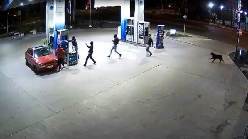 VIDEO | Detienen a banda tras violento asalto en bencinera