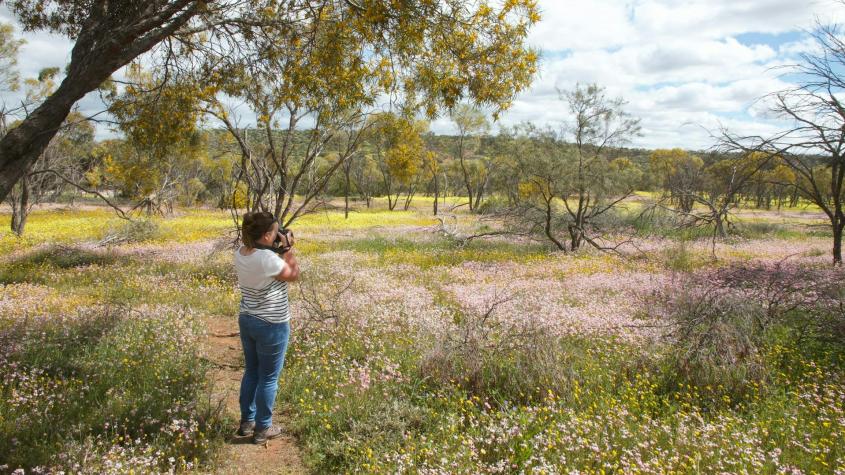 La carrera por publicar fotos de naturaleza en las redes sociales puede destruir ecosistemas o provocar extinciones