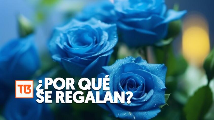 El motivo por el cual se regalan flores azules cada 3 de octubre