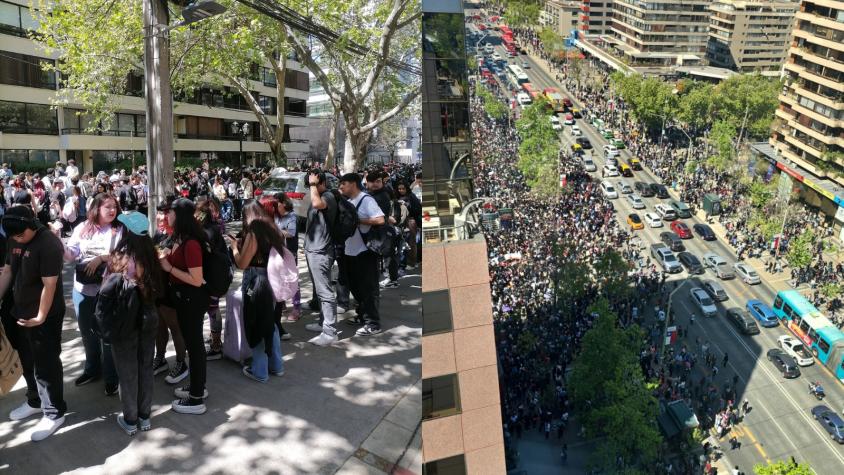 Tras "afluencia de público mayor a la informada": Las Condes anunció fin del "día del Tulipán"