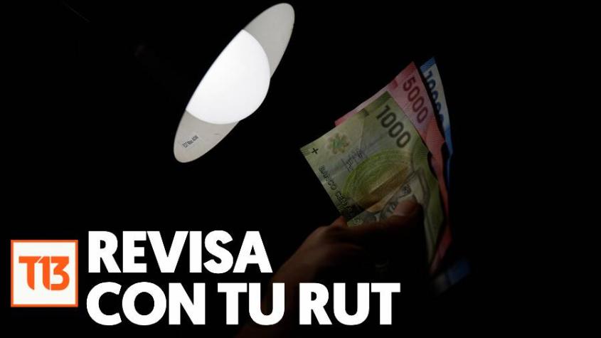 En simples pasos: Revisa con tu RUT si eres beneficiario del Subsidio Eléctrico