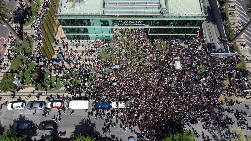 Organización del "Día del Tulipán" en Las Condes: "En otros países haces un evento así y es totalmente ordenado"