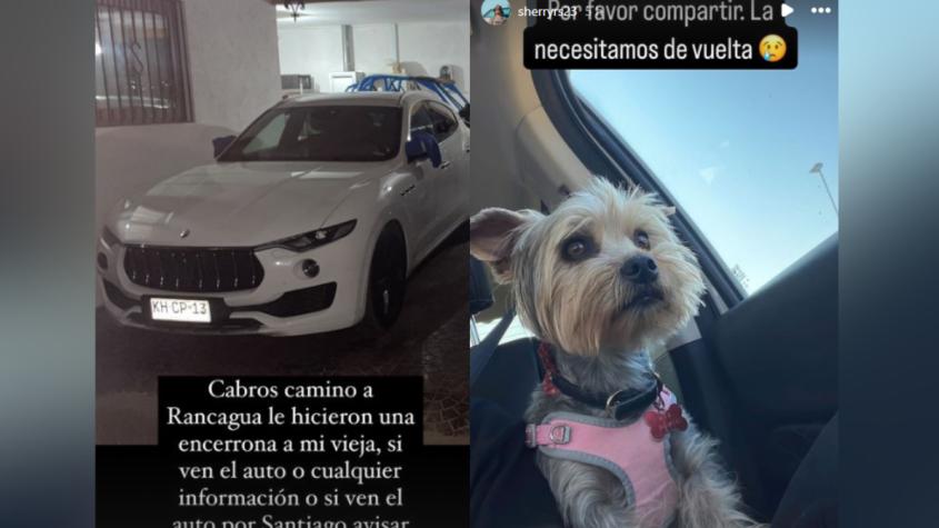 Madre e hijo fueron víctimas de violenta encerrona en La Granja: sujetos se llevaron el vehículo con perrita en su interior Madre e hijo fueron víctimas de violenta encerrona en La Granja: sujetos se llevaron el vehículo con perrita en su interior