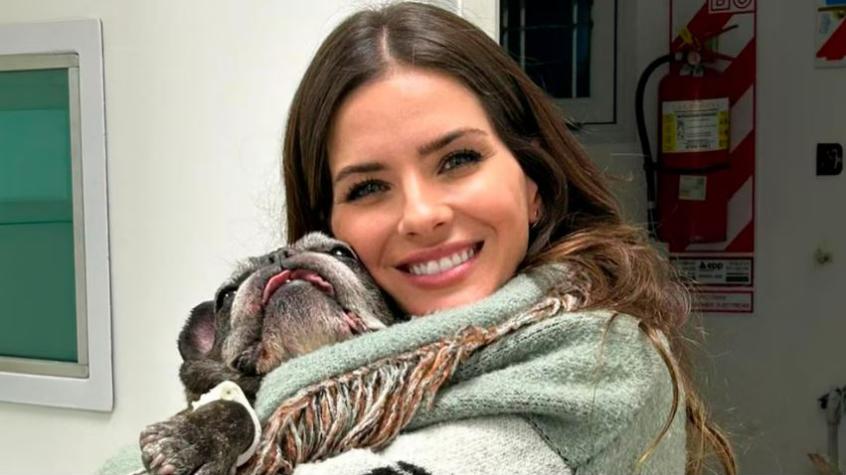 Murió el perrito de la China Suárez: compartió doloroso mensaje y eliminó su cuenta de Instagram Murió el perrito de la China Suárez: compartió doloroso mensaje y eliminó su cuenta de Instagram