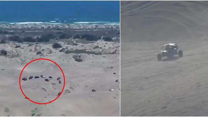 Cerca de 30 vehículos y camionetas 4x4 invaden campo dunar protegido en Mantagua