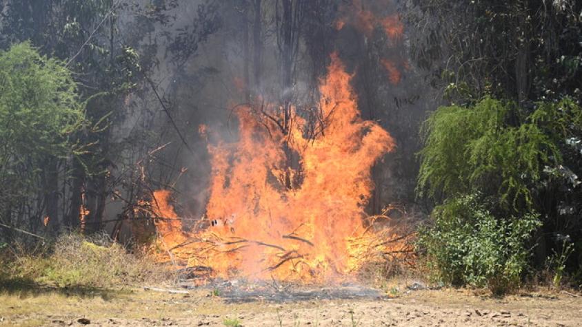 Alerta temprana preventiva para la región del Biobío por amenaza de incendios forestales