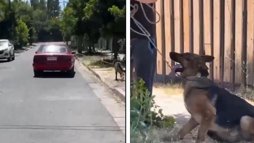 Detenido en Coinco por arrastrar a su perro desde un auto