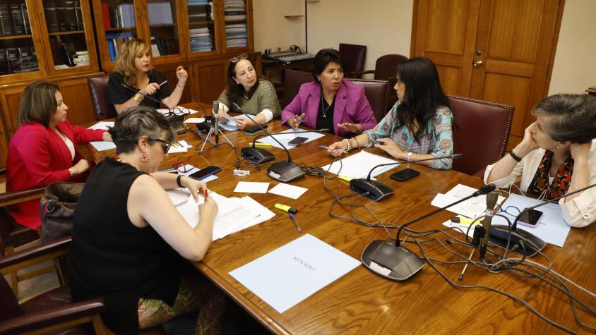 Senadoras presentaron su propia indicación para mejorar pensiones a mujeres