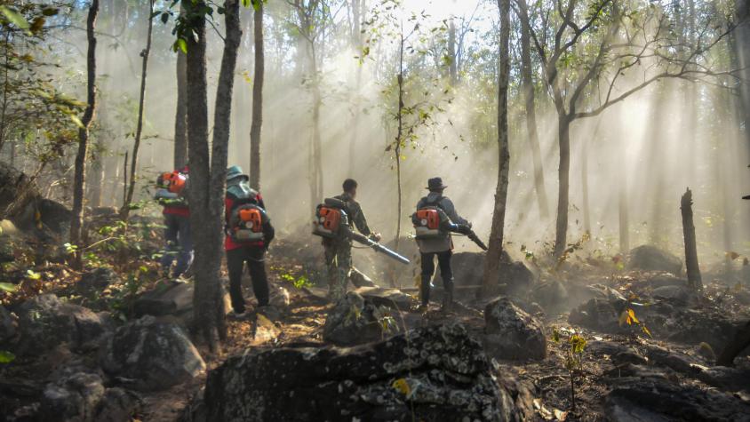 Gestión del riesgo en destinos turísticos: el desafío ante la temporada de incendios en Chile