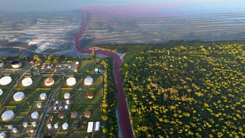 "Parecía un arroyo de sangre": Las aguas de un arroyo de Argentina se tiñeron de rojo "Parecía un arroyo de sangre": Las aguas de un arroyo de Argentina se tiñeron de rojo