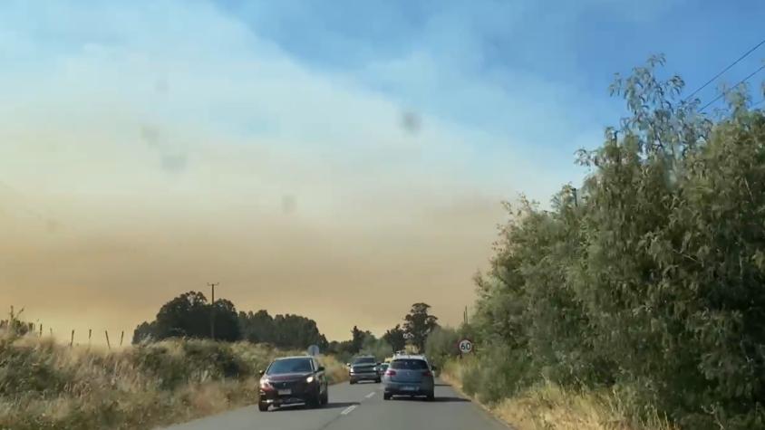 Senapred decreta Alerta Roja para Mulchén por incendios forestales cercanos a sectores poblados