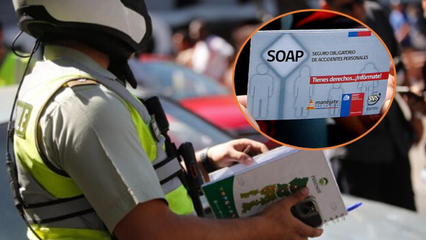 Compara aquí los precios del SOAP 2025 Compara aquí los precios del SOAP 2025