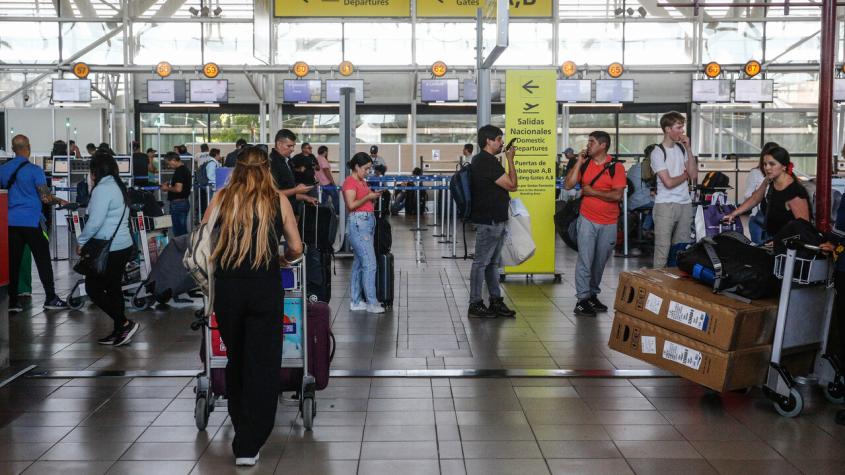 "Van en busca de alimento": Qué se sabe de las aves que han demorado el funcionamiento del Aeropuerto de Santiago