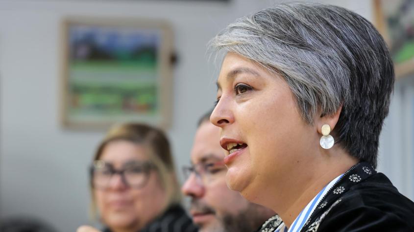 Los reparos de Jara ante el apoyo del ministro Montes a Tohá: “Yo creo que se equivocó”