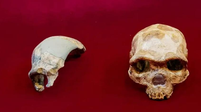 Maba 1, un cráneo de 300.000 años que no coincide con ninguna especie humana	