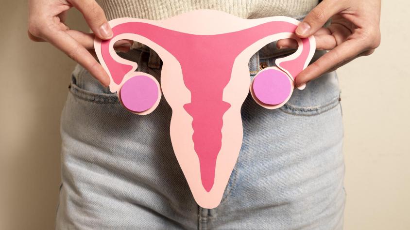 Día mundial contra el cáncer de ovarios: Síntomas y cómo reducir el riesgo de padecerlo Día mundial contra el cáncer de ovarios: Síntomas y cómo reducir el riesgo de padecerlo