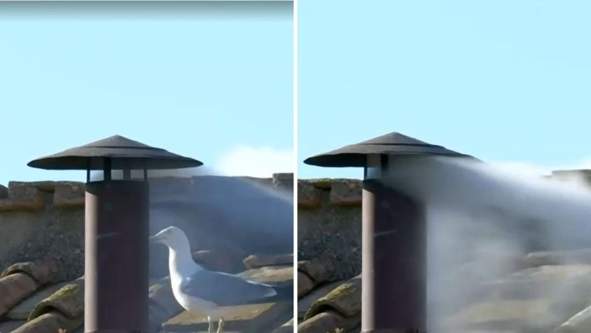 Nuevo Papa: Así fue el momento en que salió humo blanco de la Capilla Sixtina Nuevo Papa: Así fue el momento en que salió humo blanco de la Capilla Sixtina