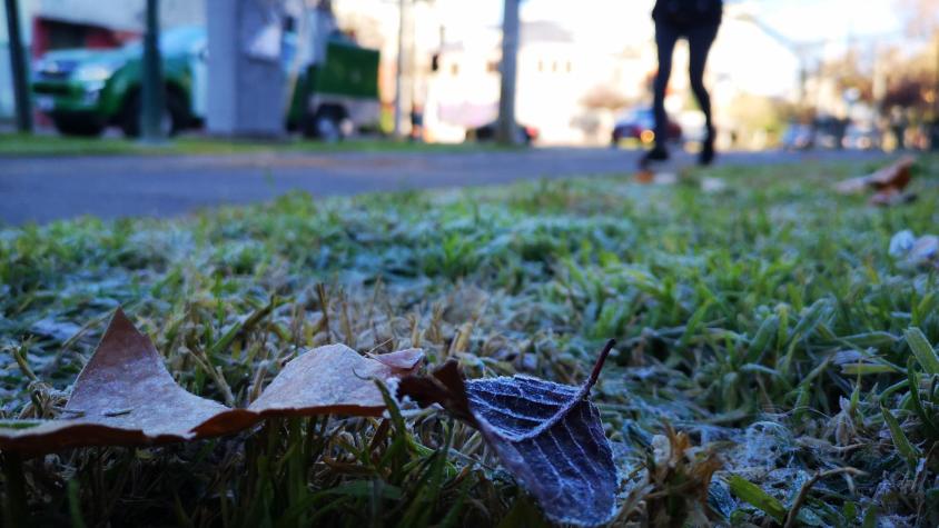 Meteorología emite aviso por heladas en la zona centro-sur: Temperaturas podrían llegar a -4°C