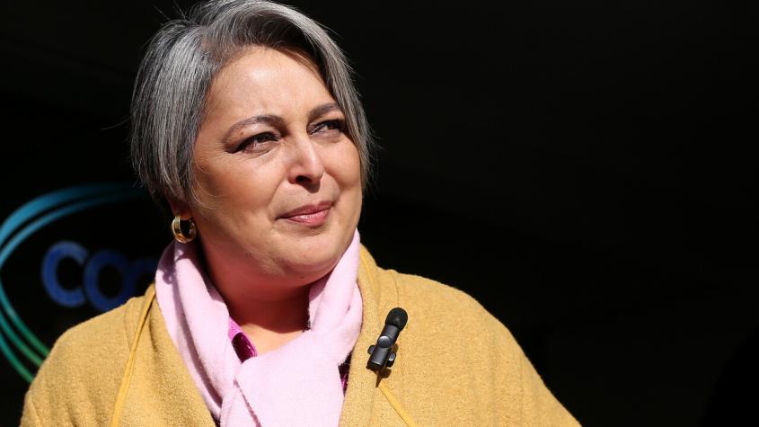 El intenso trayecto político de Jeannette Jara (y los desconocidos pasajes de su historia) El intenso trayecto político de Jeannette Jara (y los desconocidos pasajes de su historia)