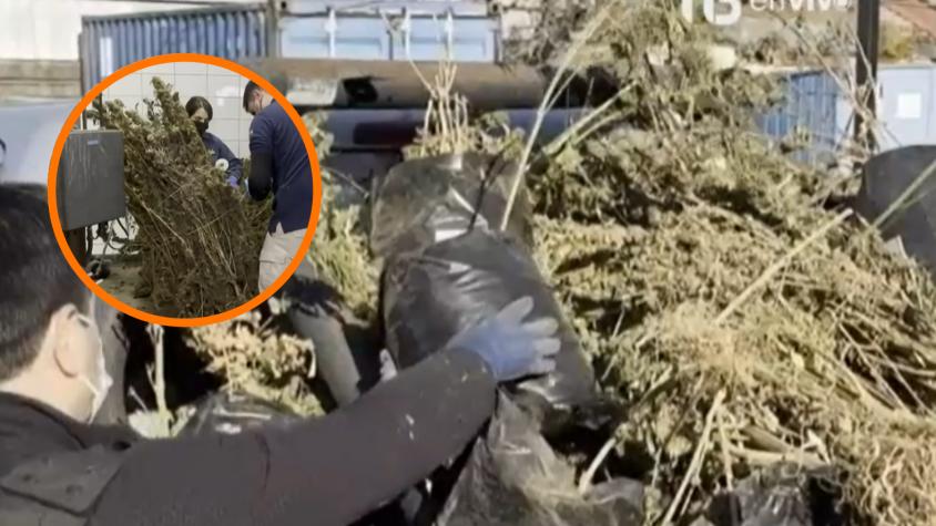 Detienen en Chillán a cinco funcionarios públicos por ocultar y vender droga que debían destruir