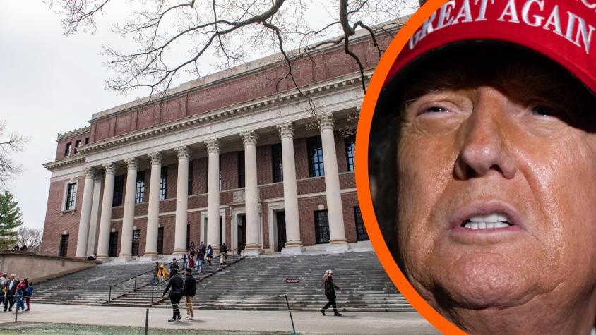 Revés judicial para Trump: Tribunal de de EE.UU. anula medida que amenazaba a estudiantes extranjeros de Harvard