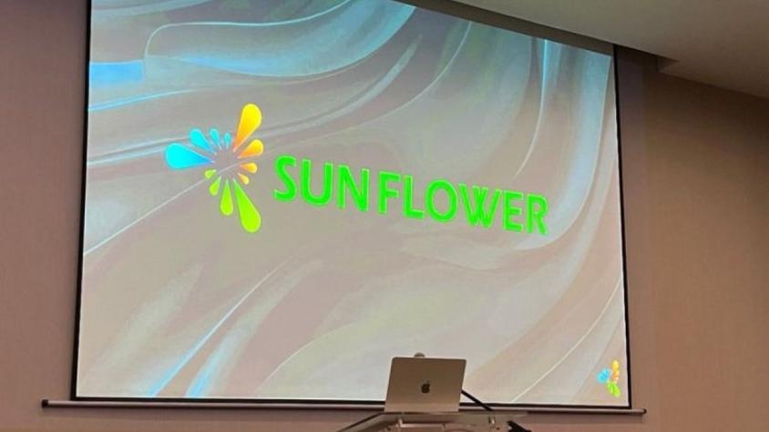 El girasol se quedó sin agua: más de 3 mil chilenos afectados por una nueva estafa piramidal El girasol se quedó sin agua: más de 3 mil chilenos afectados por una nueva estafa piramidal