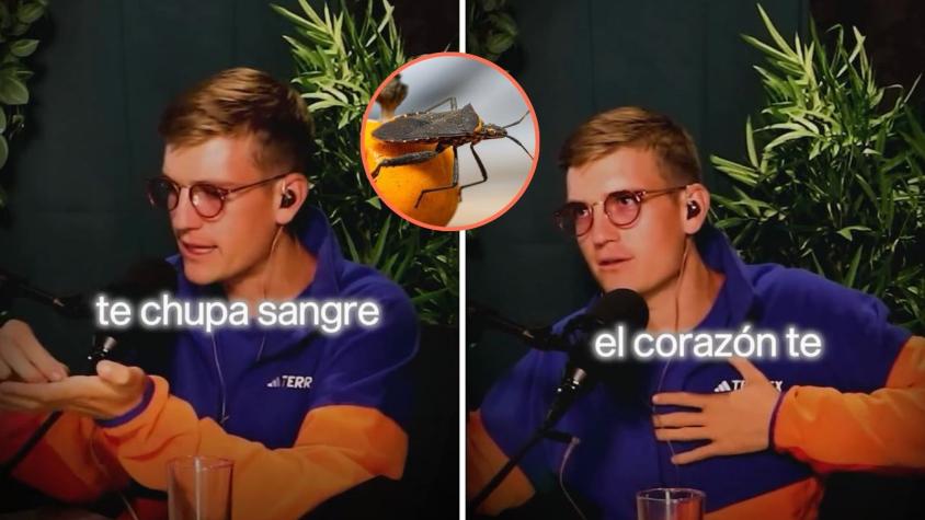 Experto dice cuál es el insecto que le da “miedo” y se encuentra en Chile: “Te empieza a fallar el corazón” Experto dice cuál es el insecto que le da “miedo” y se encuentra en Chile: “Te empieza a fallar el corazón”