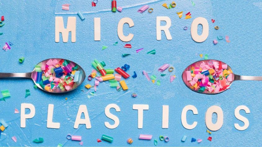 Estudio científico detecta alta concentración de microplásticos en autos y hogares Estudio científico detecta alta concentración de microplásticos en autos y hogares
