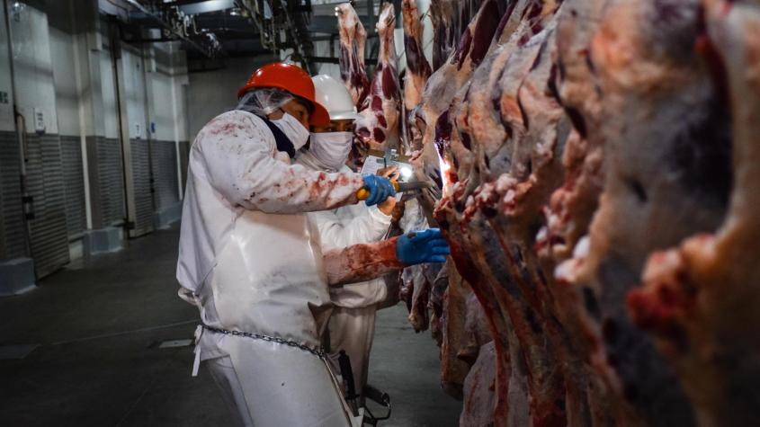 Chile suspende importación de carne desde Patagonia argentina: así explicó el SAG la medida