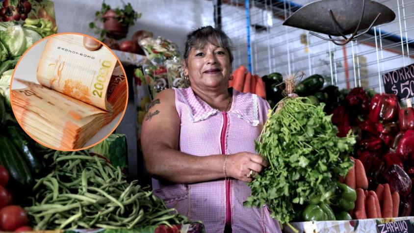 HOY comienza el pago del Bono Mujer Trabajadora: revisa con tu RUT cuánto te corresponde