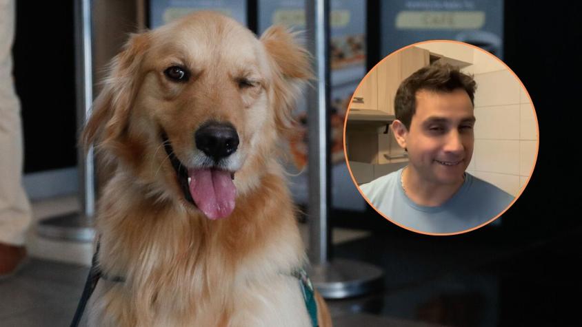 Experto reveló cuántos millones cuesta tener un perrito en Chile: cifra generó reacción en usuarios