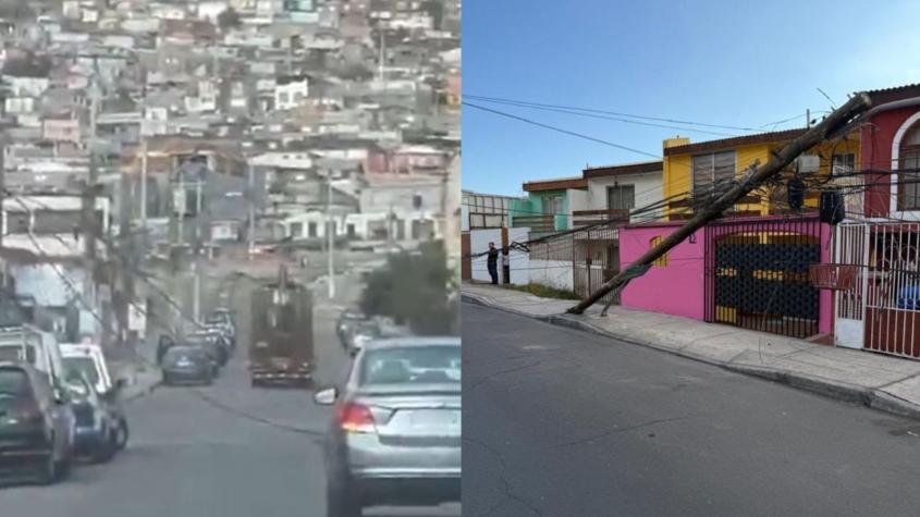 Camión derribó 12 postes eléctricos en Antofagasta: Conductor no tenía licencia para ese vehículo