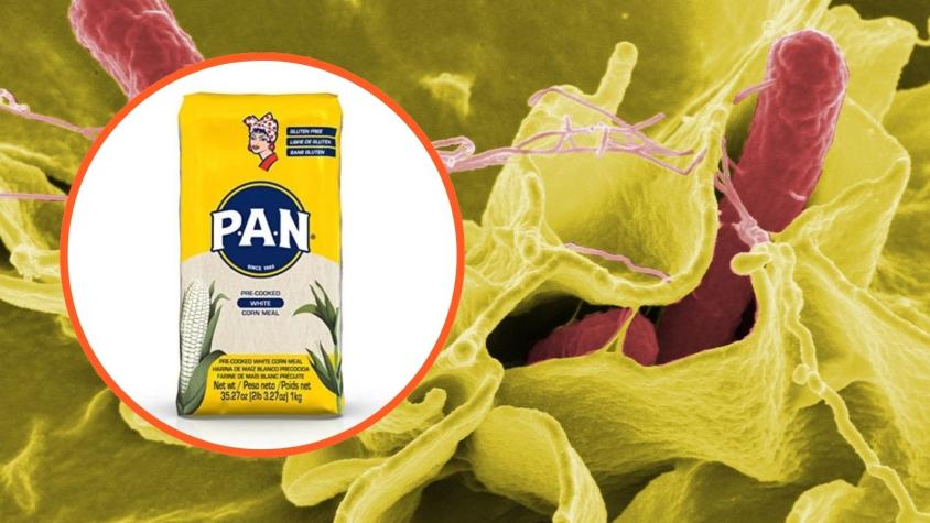 Qué es la fumonisina, la micotoxina detectada en lote de conocida harina de maíz y por la que el Minsal emitió alerta alimentaria