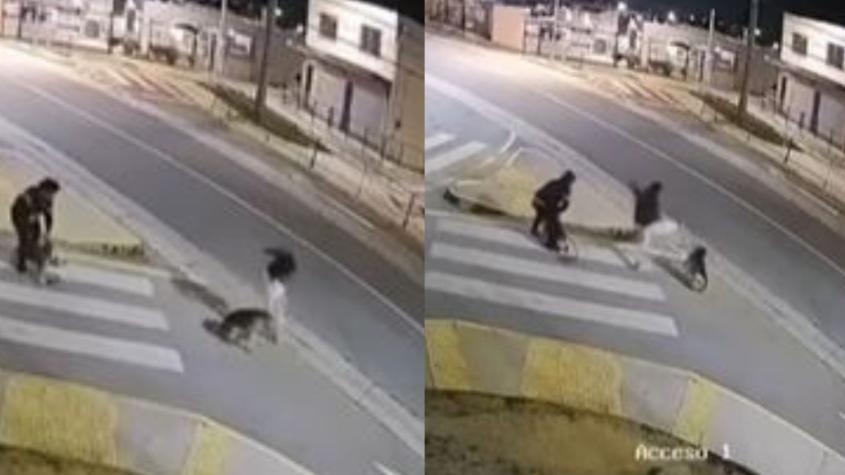 Captan brutal agresión de sujeto a perro comunitario en Villa Alemana: Municipio anunció querella en su contra