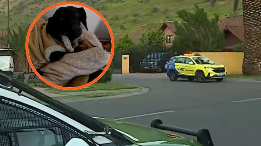 Familia sufre violento turbazo en Huechuraba: Delincuentes se habrían llevado a su perrita salchicha en robo