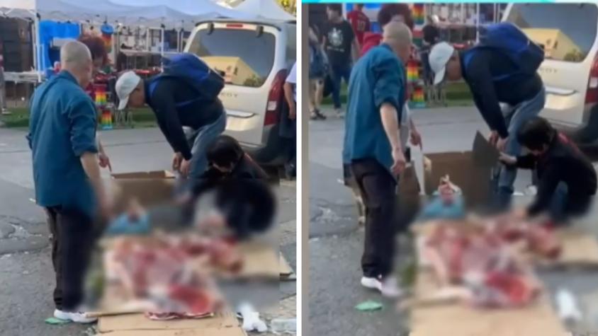 VIDEO | Captan faenamiento de animal sobre cartón en plena calle de Meiggs