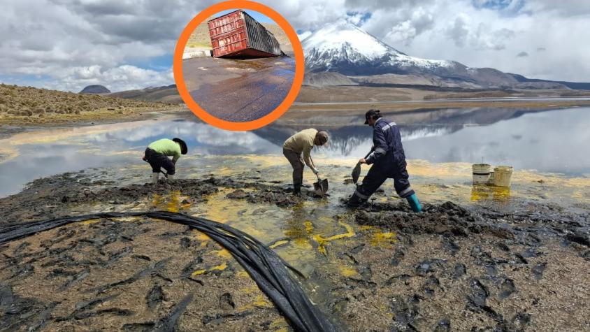 22 mil litros de aceite de soya derramados en el sector Chungará: Conaf cierra indefinitivamente Parque Nacional Lauca