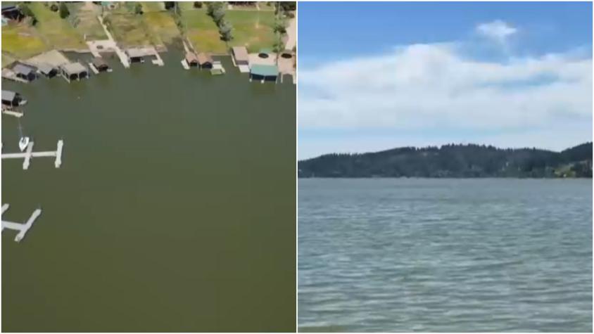 Alerta en lago Vichuquén por "bacteria asesina": han fallecido 9 mascotas