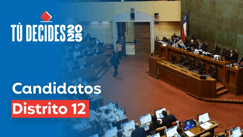 Candidatos distrito 12: Quiénes se presentan por comunas como Puente Alto, La Florida y Pirque