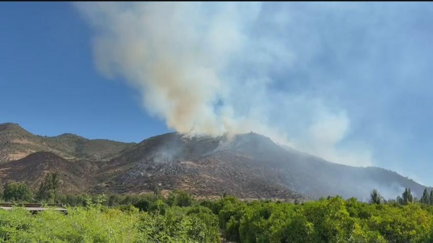 Decretan prisión preventiva para detenido por incendio forestal en Pichidegua