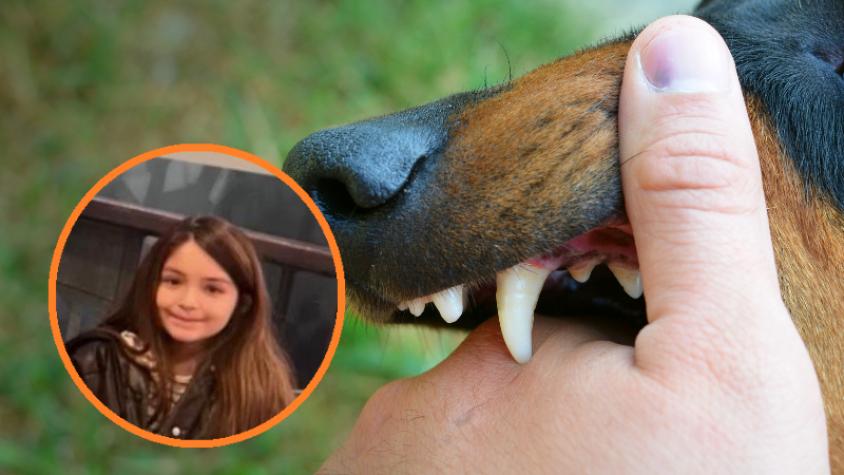 El angustiante llamado de madre que exige justicia: denuncia a su propio padre por ataque de perros a su hija de 10 años