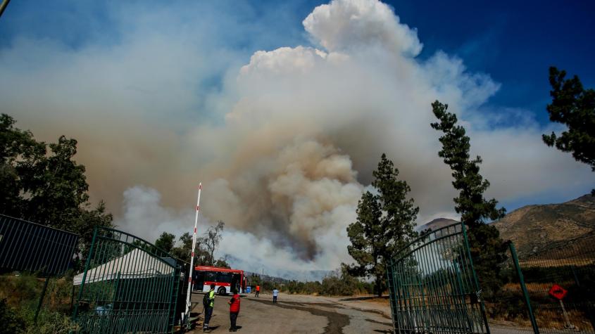 "En terrenos del club": El comunicado de la UC por incendio forestal en sector de San Carlos de Apoquindo