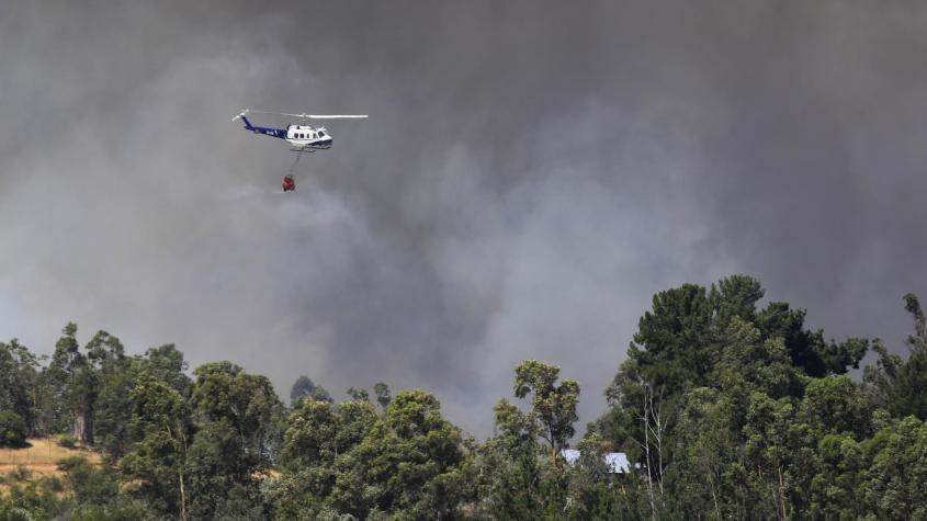 Incendios forestales: 3.500 hectáreas consumidas por el fuego en la RM