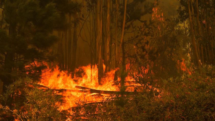 Mira EN TIEMPO REAL el mapa de los incendios forestales activos en territorio nacional