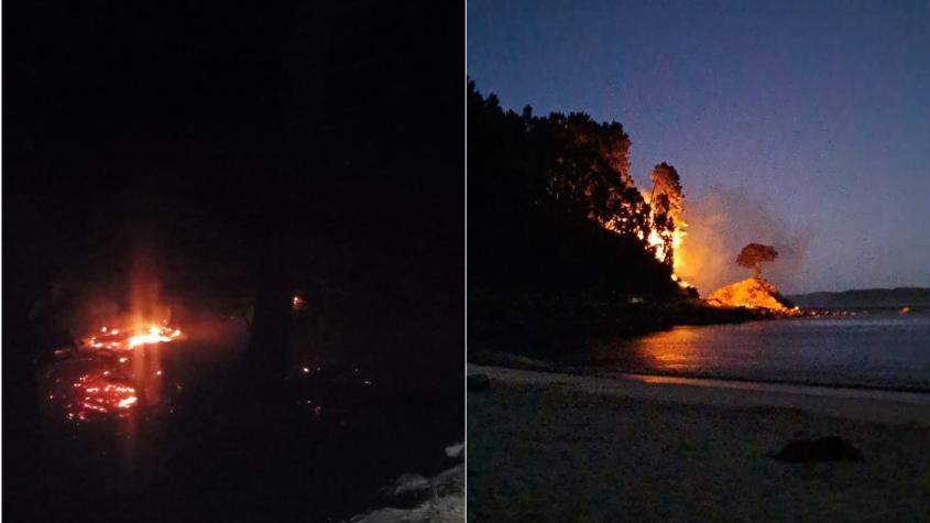 Incendio forestal en Hualpén moviliza a Conaf y Bomberos por riesgo de propagación en sector Ramuntcho