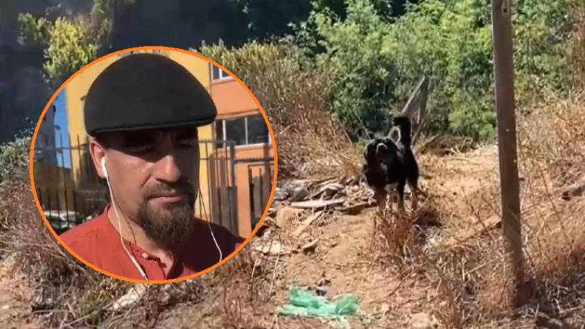 Hijo de mujer atacada por jauría de perros en Valparaíso: "Es un peligro inminente y no se ha hecho ninguna solución"