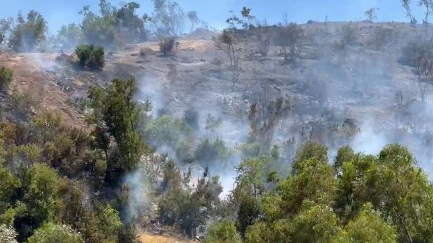 Incendio forestal en Maule: Presentarán una denuncia contra atacantes de un camión aljibe 